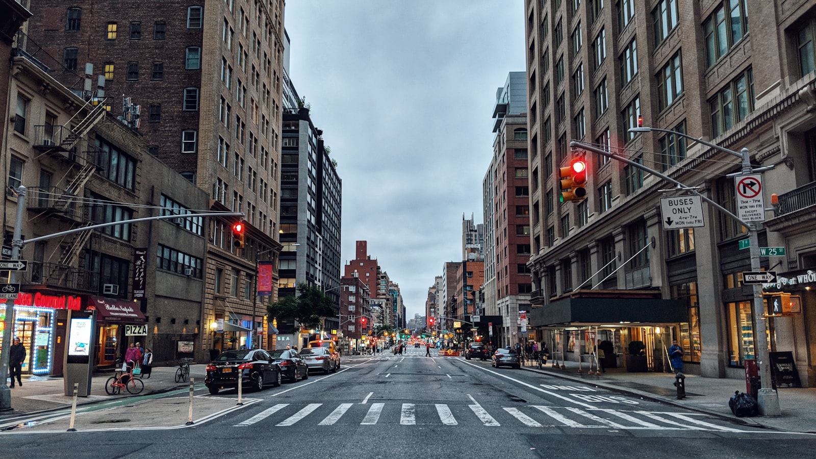 NYC skyline - Organic Pest Control NYC serves all 5 boroughs